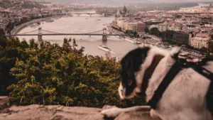 19. August 1989: Wie bei Sopron die Grenze aufging