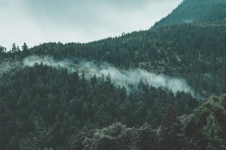 Deutschland heute Abend: 5-Minuten-Check für Wetter und Waldbrand