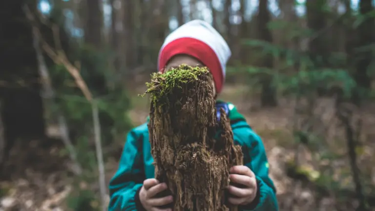 Regensburg: Kinder retten den Wald – kostenlos am 14. August