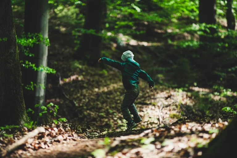 Regensburg: Kinder retten den Wald – kostenlos am 14. August