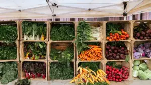 Saarbrücker Bauernmarkt: Samstags regional einkaufen
