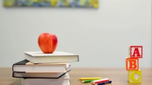 Schulstart am 24. August: Der letzte Familiencheck