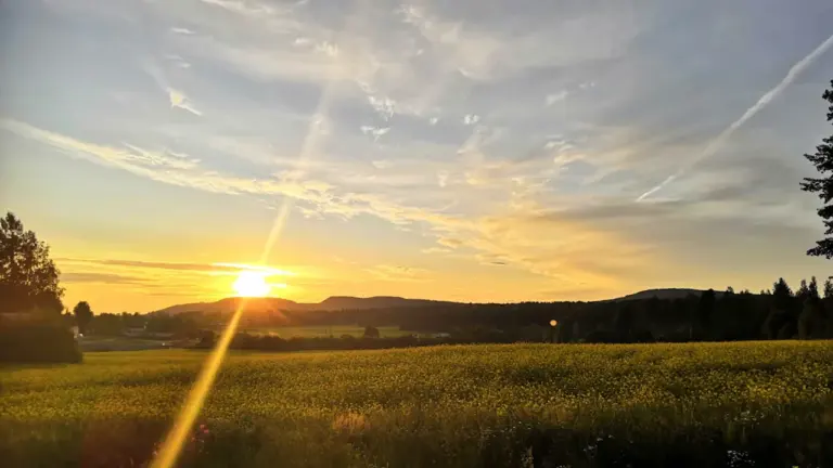 Wetterprognose 22.-23. August 2026: Kommt der Spätsommer zurück?