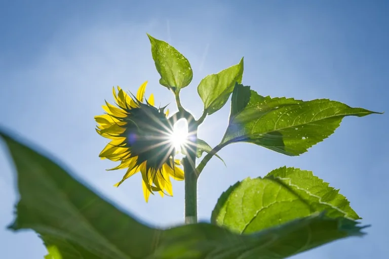 Wetterprognose 22.-23. August 2026: Kommt der Spätsommer zurück?