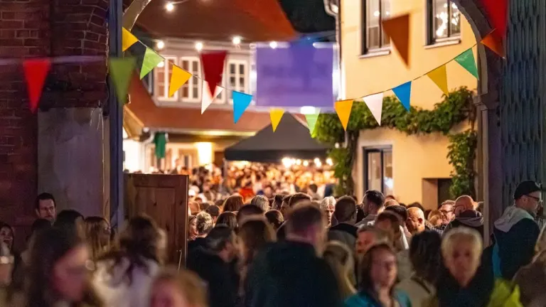 Altstadtfest Speyer: Zwei Tage Musik bei freiem Eintritt