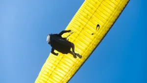 Vom Fliegen träumen: Freiheit zwischen Kontrolle und Loslassen