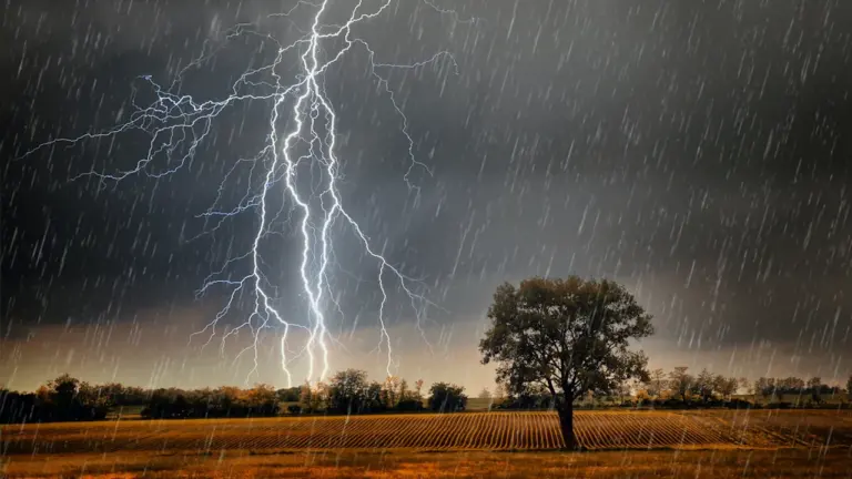 DWD-Wetterwarnungen am 21. Oktober: Ort und Zeitraum prüfen