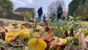 Herbstwochenende mit Kindern: Kurze Wege, guter Regenplan